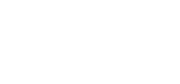 Logo-INS—2021
